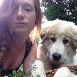 Meet your Posher, Ellen